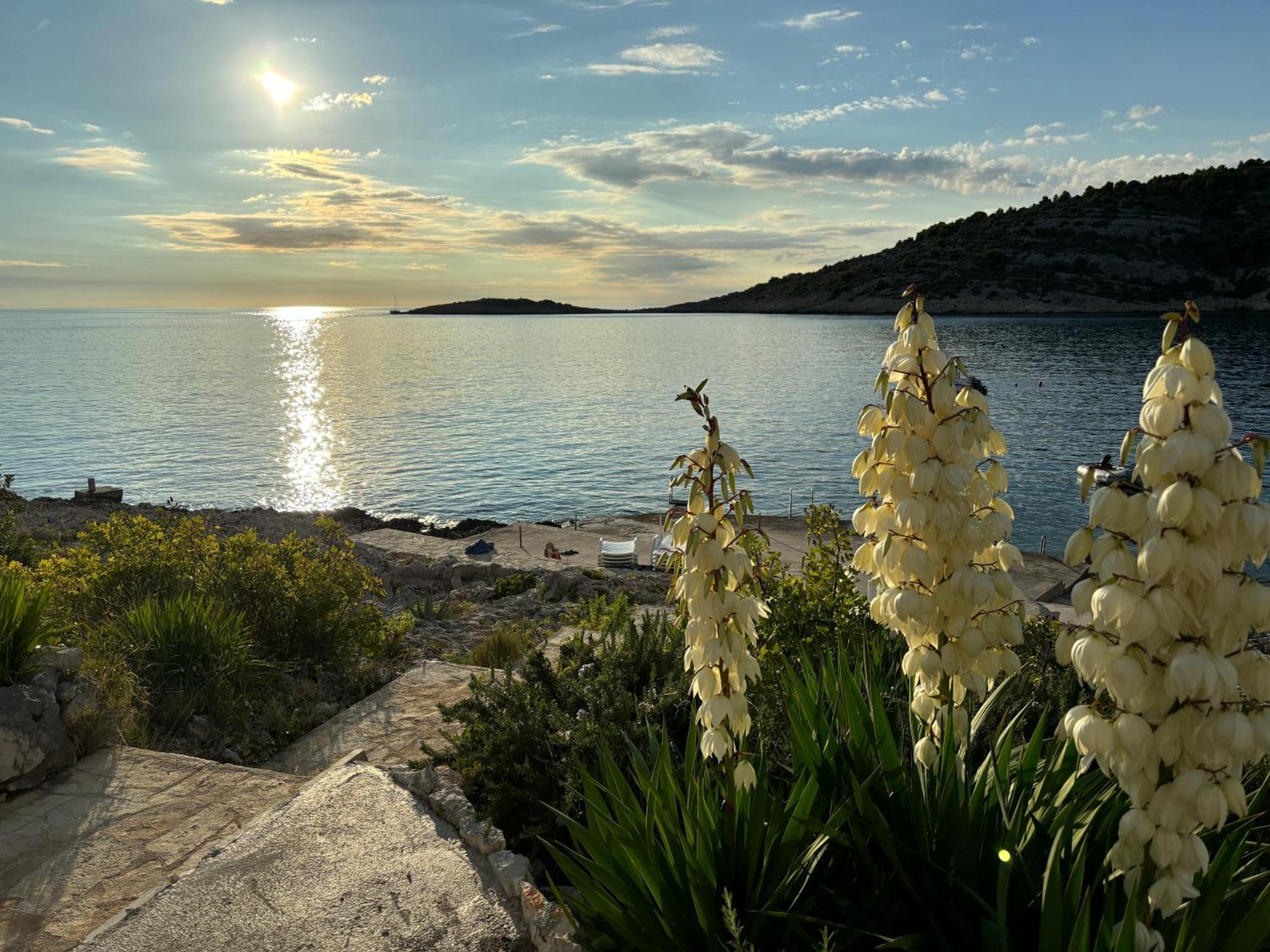 Direkt Am Meer-Apartments Puntaplanka Rogoznica  Zewnętrze zdjęcie